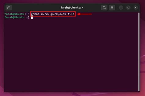 linux chmod 755|How to Use chmod 755 in Linux [3 Best Ways].